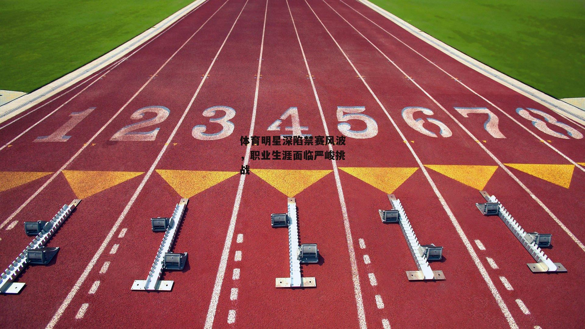 1xbet中文版_体育明星深陷禁赛风波，职业生涯面临严峻挑战