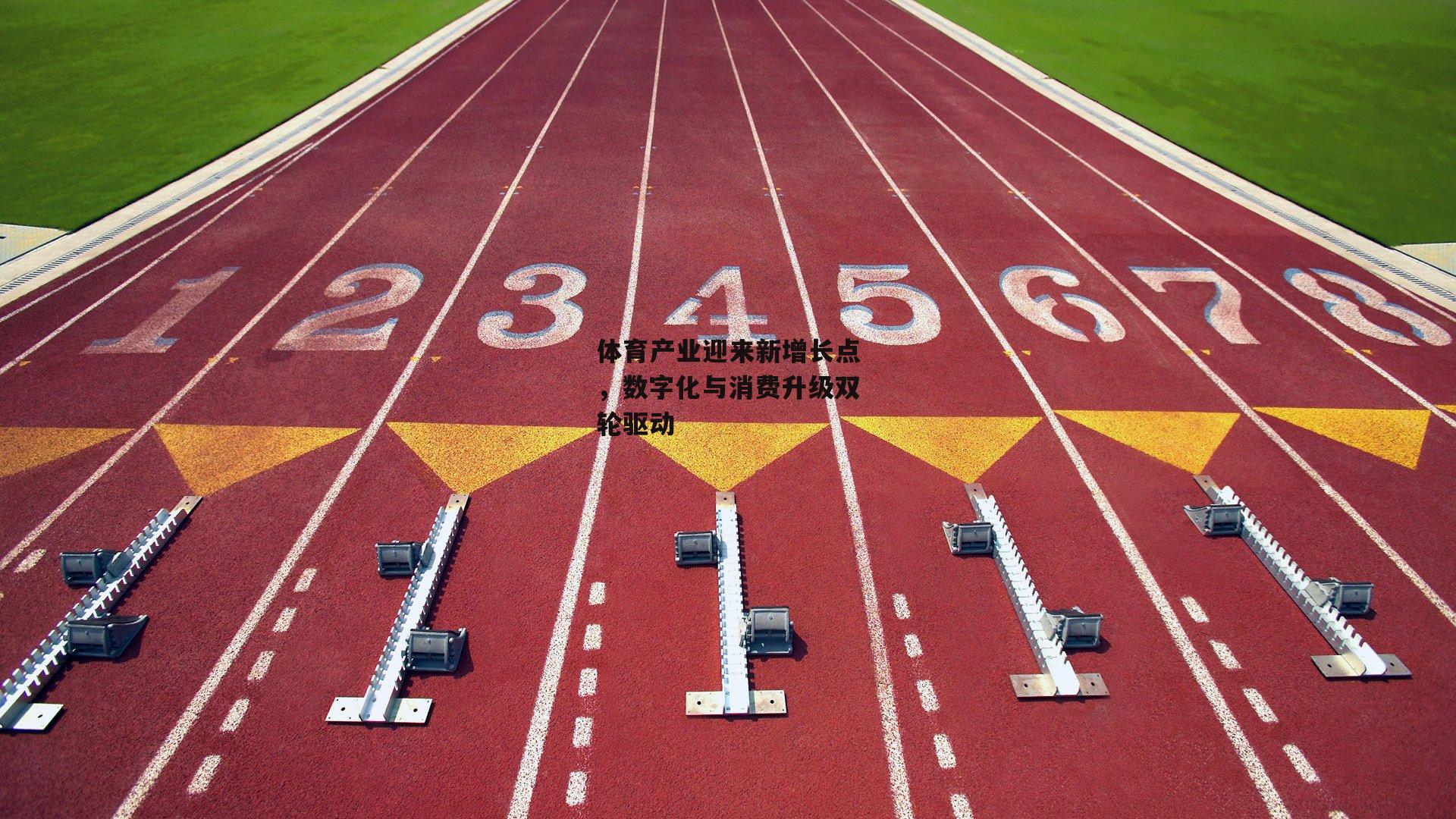 【1xbet中文版】体育产业迎来新增长点，数字化与消费升级双